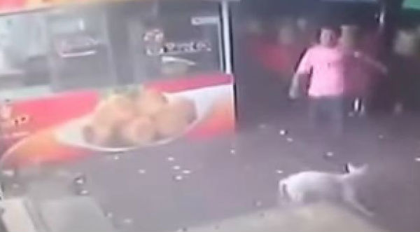 Hombre Intentó Patear A Un Perro Y Recibió Su Merecido Entretenimiento Radio Onda Cero 