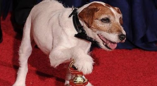 Uggie se retira del cine