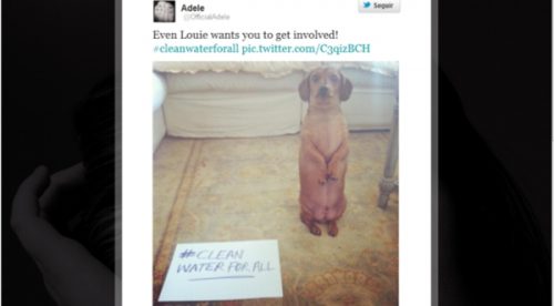 Adele y su perro piden ‘agua limpia para todos’