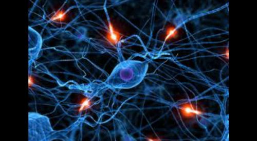 6 Costumbres que te destruyen las neuronas