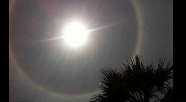 ¿Tu también viste el ‘Halo’ en el cielo?