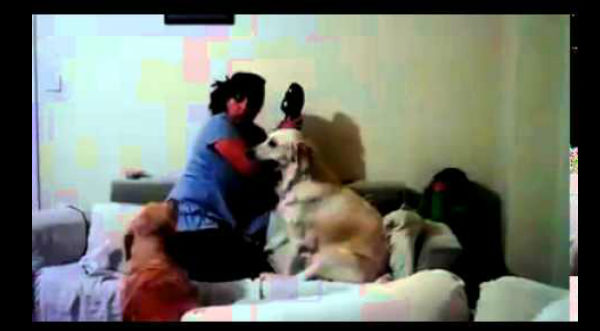 Cheka este video que muestra la protección de un perro hacia un niño