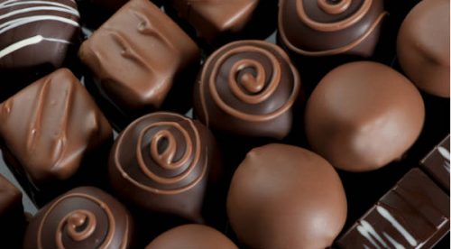 ¿Te imaginas el mundo sin chocolate? Esta idea puede ser real