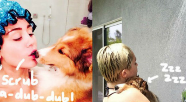 Miley Cyrus está encantada con su nueva mascota