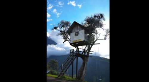 ¡Cheka las 10 mejores casas de árbol del mundo! – FOTOS