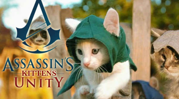 Mira la parodia del videojuego Assassin’s Creed hecha con gatos – VIDEO