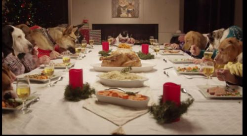 Mira la graciosa cena navideña que protagonizaron trece perros y un gato – VIDEO