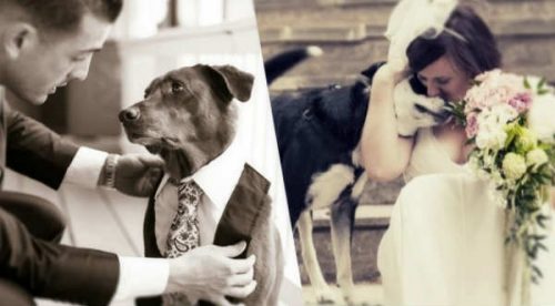 12 emotivas imágenes que demuestran que tus mascotas deben estar el día de tu boda – FOTOS