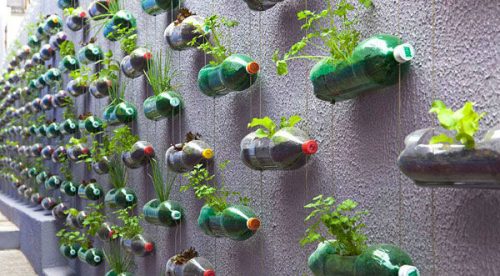 Creatividad plástica: descubre el uso que le puedes dar a las botellas que ya no utilizas – FOTOS