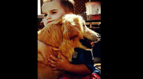 ¡Muy tierno! Conoce a Smiley, el perro ciego que alegra a niños discapacitados – FOTOS