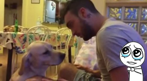 ¡Demasiada ternura! Este perro abrazó a su dueño para pedirle perdón – VIDEO