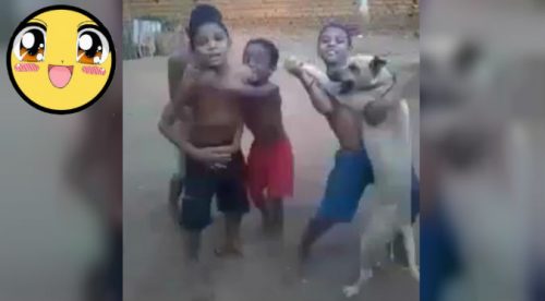Si de niño no bailaste con tu perro… ¡NO TUVISTE INFANCIA! – VIDEO