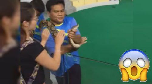 YouTube: ¡Ouch! Una chica quiso darle un beso a una serpiente pero no imagino que…