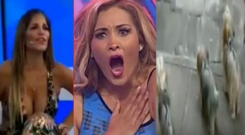 ¡Queee! ¿Sandra Arana comparó a Micheille Soifer y a sus hermanas con unos perritos? (VIDEO)