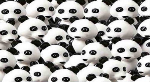 Reto viral:  ¿Lograste ver a un perro entre los pandas? – FOTOS