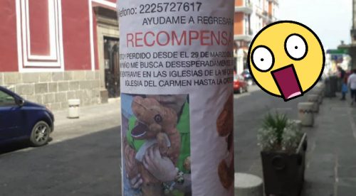 Facebook: Niño ofrece recompensa por su dinosaurio de peluche