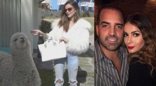 Esposo de Laura Spoya se burla cuando alpaca escupe a ex Miss Perú (VIDEO)