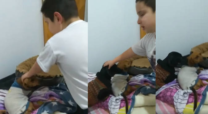 Niño suplica a su madre para adoptar a perrita que encontró (VIDEO)