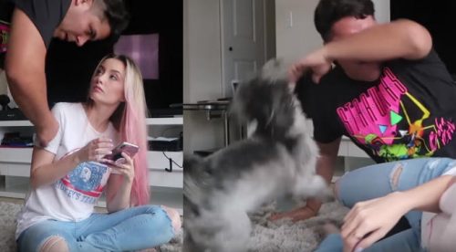 Atacan a youtuber y su perro logra salvarla a pesar de su tamaño (VIDEO)