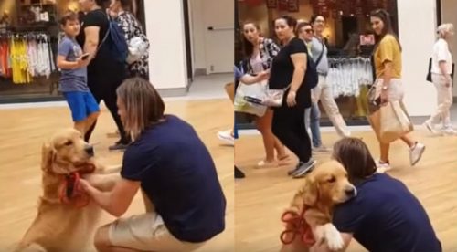 Un hombre y su perro protagonizan tierna escena (VIDEO)