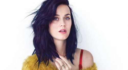 Perrito de Katy Perry se roba todas las miradas (VIDEO)