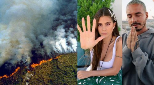 Incendios en el Amazonas: Artistas se unen para salvar el pulmón del mundo (VIDEO)