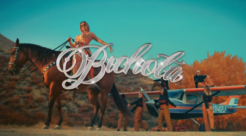 Karol G anuncia su nuevo single, ‘Bichota’ | VIDEO