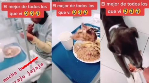 Joven quiere tomar foto a su comida, pero su amigo se lo quita y le da al perro | VIDEO