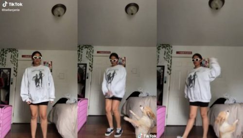 Perrita interrumpe a su dueña mientras baila la «Neverita» de Bad Bunny para TikTok | VIDEO