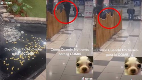 Joven se queda sin pasaje y se mete a una «fuente de los deseos» a buscar unas monedas | VIDEO