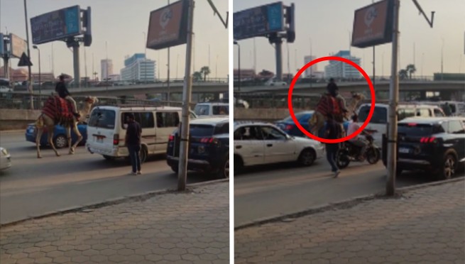 Captan a hombre usando su camello para evitar el tráfico y genera debate en redes: «¿Es en Lima?» | VIDEO