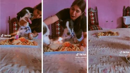 Le cantan a perrito «feliz cumpleaños», pero su amigo le roba su pollo a la brasa | VIDEO