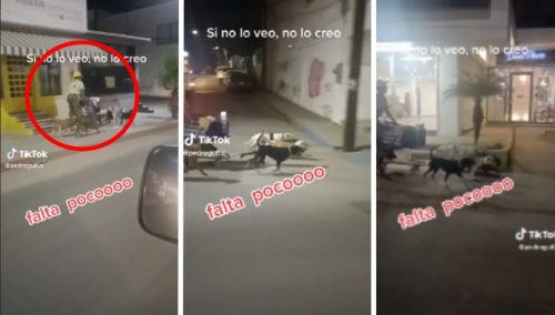 ¿Papá Noel? Captan a hombre usando un carro como trineo y perritos como si fueran renos | VIDEO