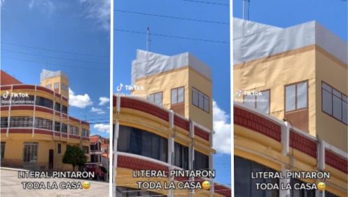Hombre capta un peculiar cuarto hecho de cartón y causa sensación en redes: «Ahí viven Pepe y Tito» | VIDEO