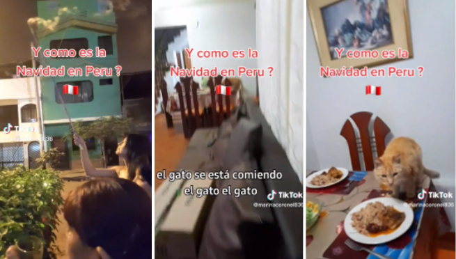 Familia sale a reventar cohetes, pero su gato aprovecha para comerse la cena navideña | VIDEO