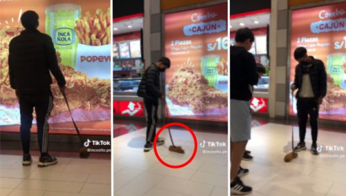 Peruano es sensación por sacar a pasear a su cuy con correa en centro comercial | VIDEO