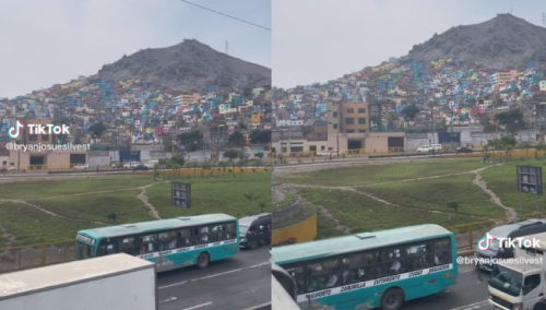 Confunde el Cerro San Cristóbal con las favelas brasileñas y se vuelve viral: «Rimac de Conerio» | VIDEO